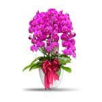 AGR-02
