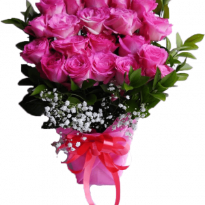 HRI-008