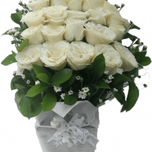 HRI-009
