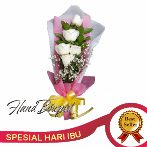 HRI-005