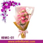 HB MKS-011