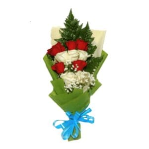 HB JMBR-001