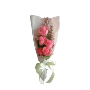 HB JMBR-002
