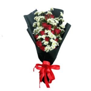HB JMBR-006