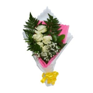 HB JMBR-007