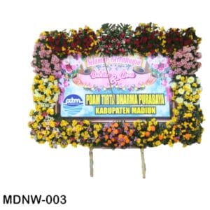 MDNW-003