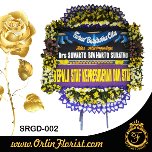 SRGD-002