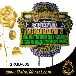 SRGD-005