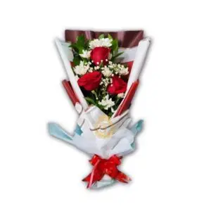 VAL HBL-012