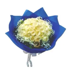 VAL HBP-005