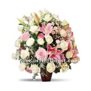 SBY BM-001