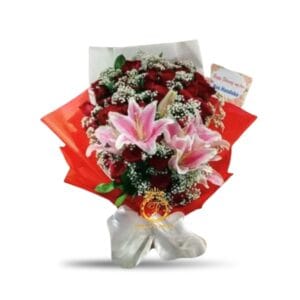 SBY HB-004