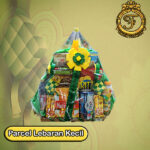pcl 1 orlin