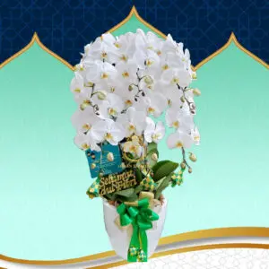 Bunga Anggrek AGRL-006