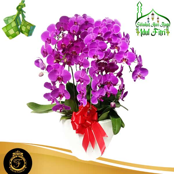 Bunga Anggrek AGRL-001