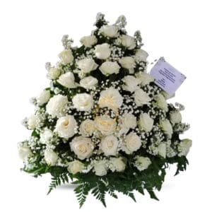 BMBD-006