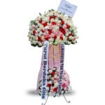 SFDBD-009