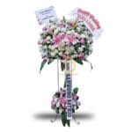 SFWBD-001