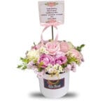 Bloom Box Kediri BBKD-002