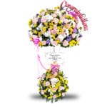 Standing Flowers Congratulation STD KDR-004